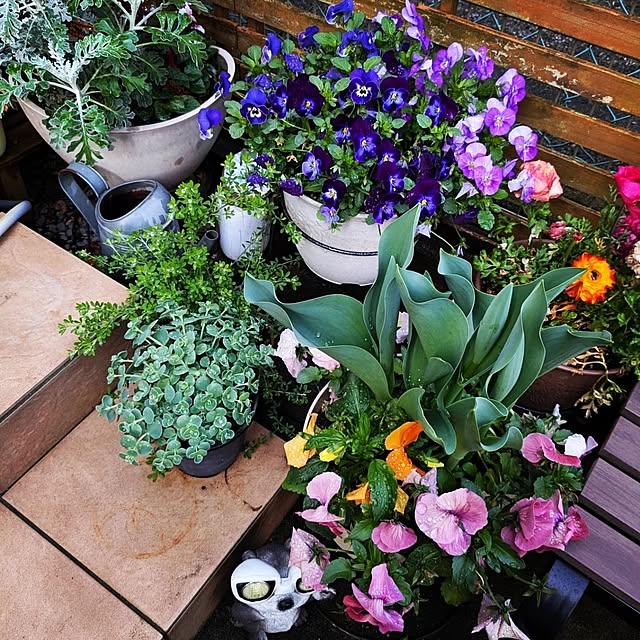 mofukoさんの部屋