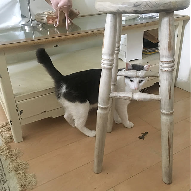 babybabyさんの実例写真