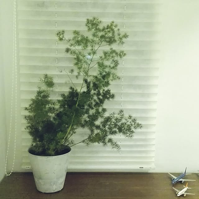 Chackさんの実例写真
