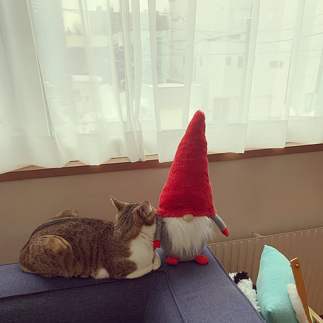 sinya96さんの実例写真