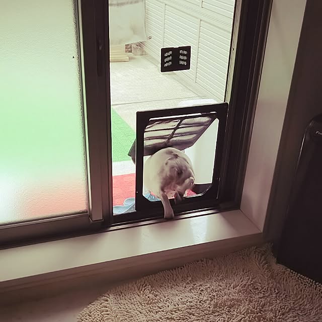 panchobiさんの実例写真
