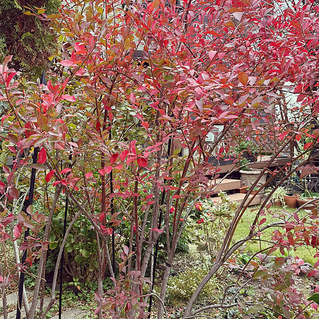 MHさんの実例写真