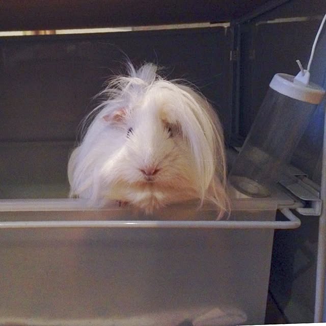 Atsushiさんの実例写真