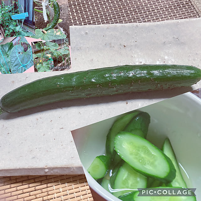 shoさんの実例写真