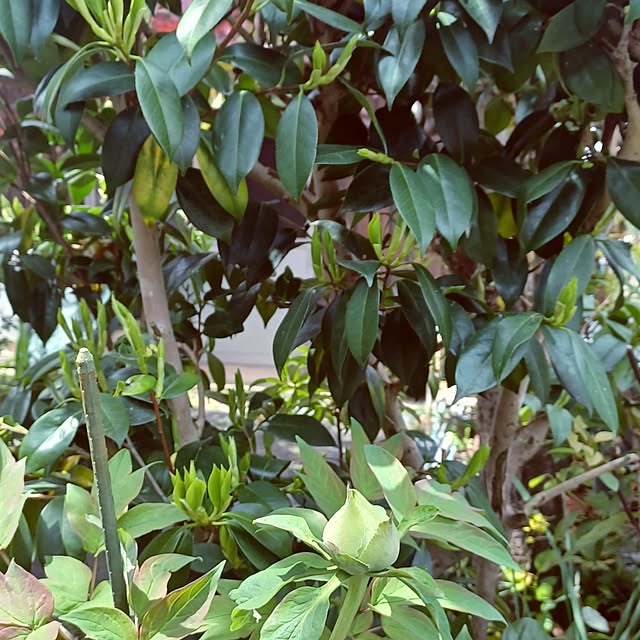 hiro.904さんの部屋