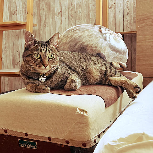 Mさんの部屋
