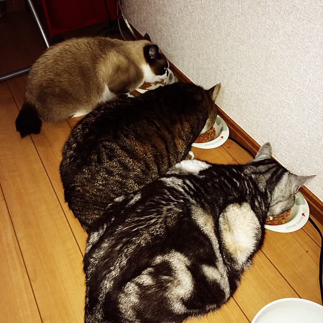 mari23さんの実例写真