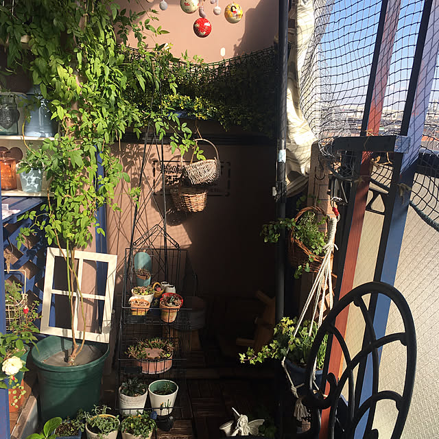 naokoさんの部屋
