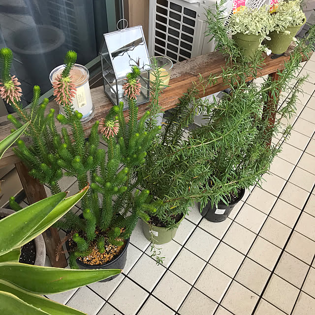 natsuさんの実例写真