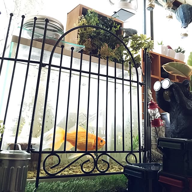 onokenkoさんの実例写真
