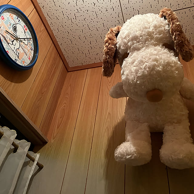 Alzさんの実例写真