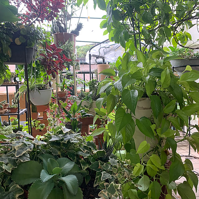Aqettyさんの部屋