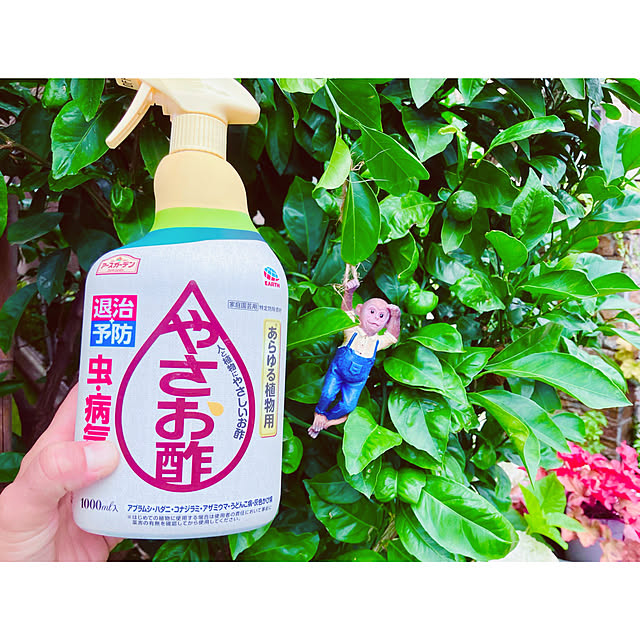 tinkunさんの実例写真
