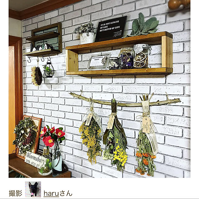 haruさんの実例写真