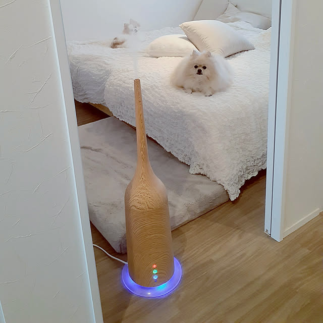 noahさんの実例写真