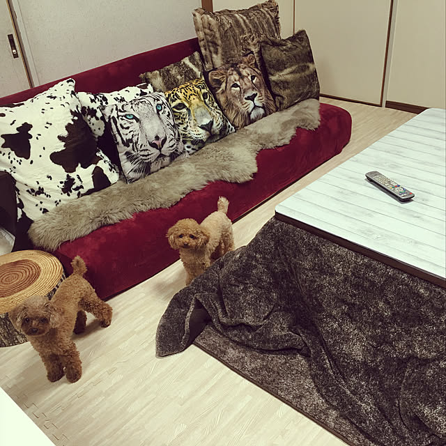 kuuazu.mamaさんの実例写真