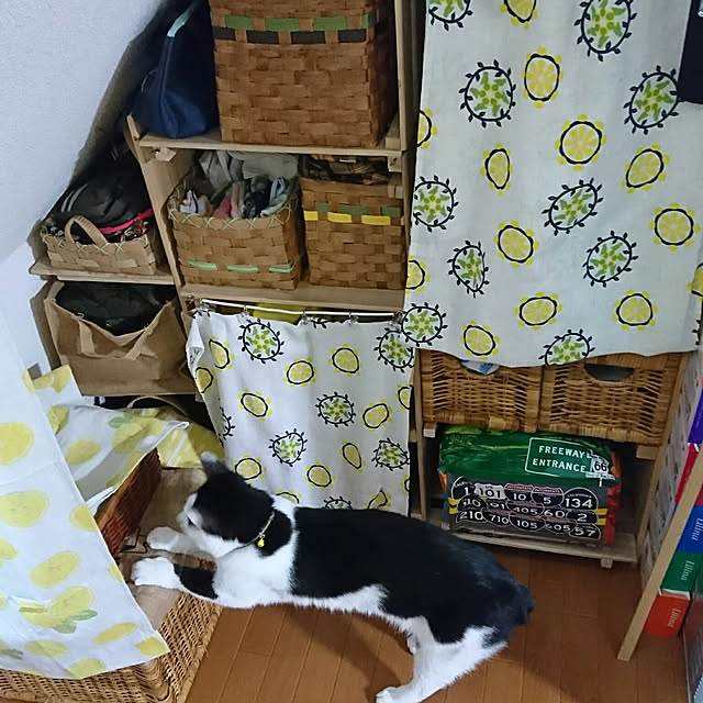 SHIHOさんの実例写真