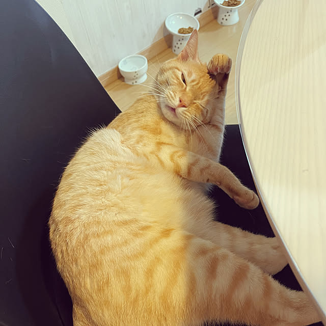 chiiさんの部屋