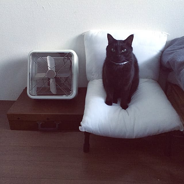 mayhgさんの実例写真