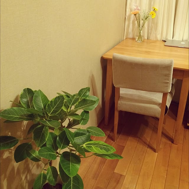 sayuriさんの実例写真
