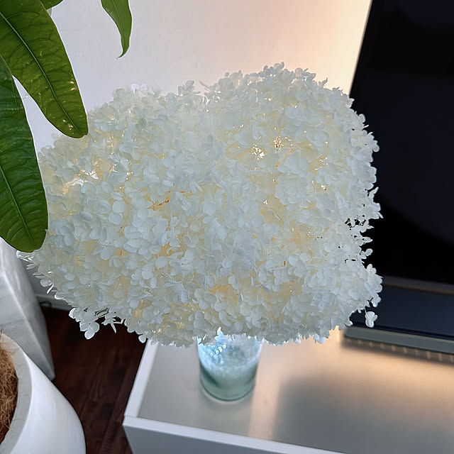 hanahana1444さんの部屋