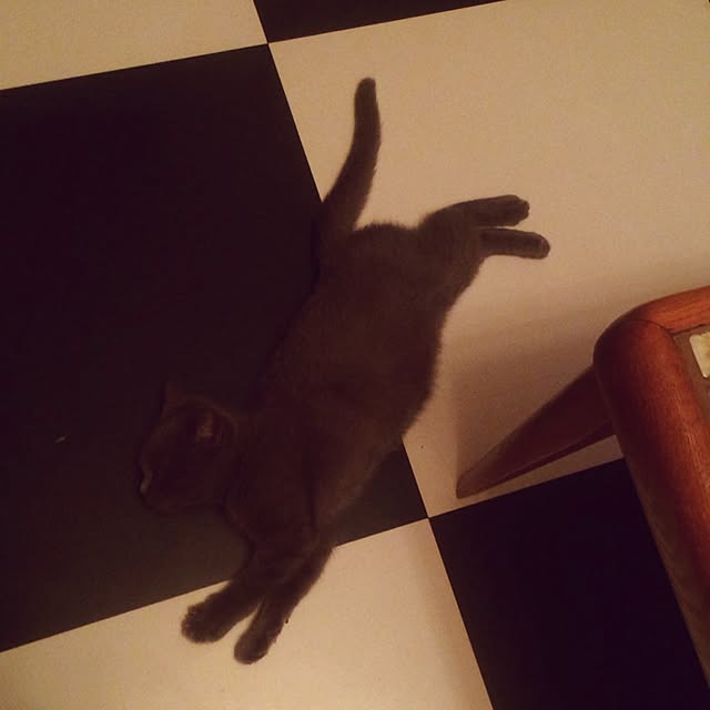 Shojiさんの実例写真