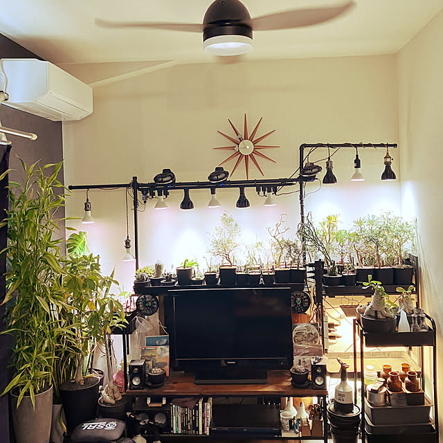 sarueru_k_sk8さんの実例写真