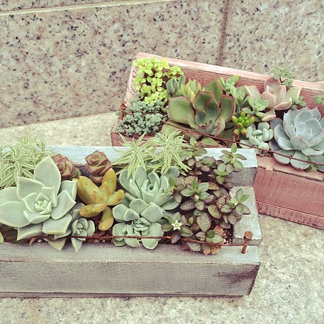 botanさんの実例写真
