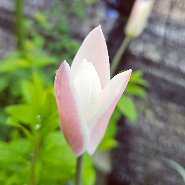 mocomocoさんの実例写真