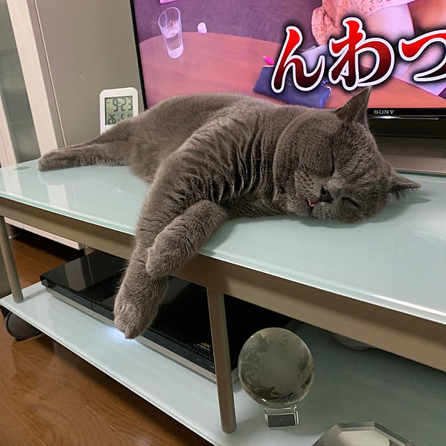 kittyさんの実例写真