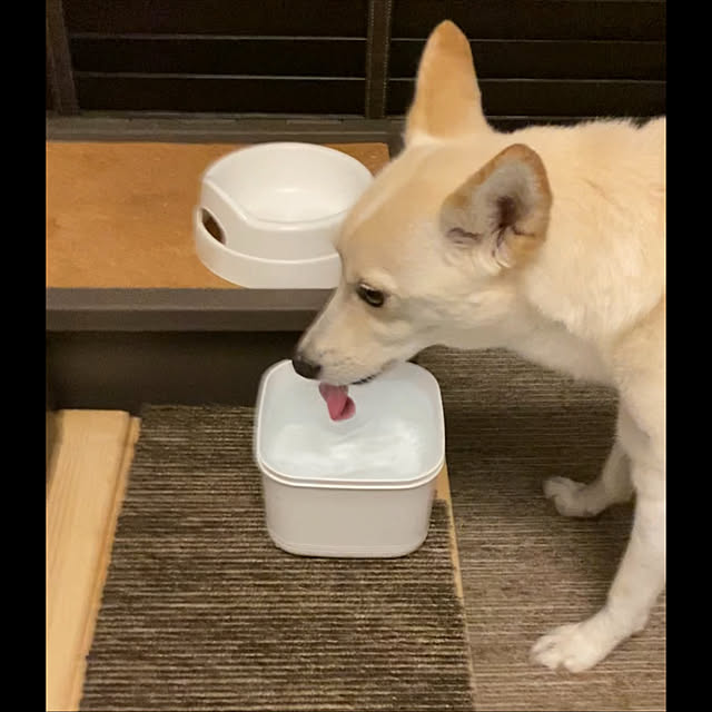 tanboさんの実例写真