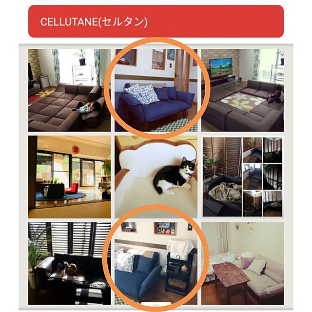 koikoiさんの実例写真