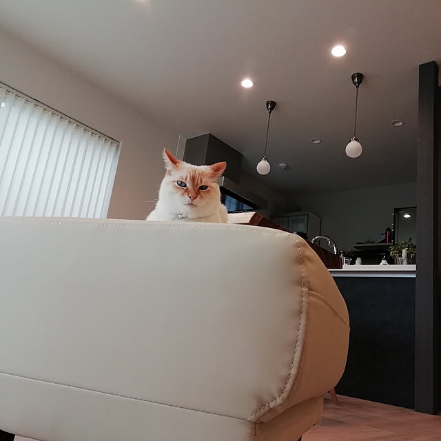 nikeyamaさんの実例写真