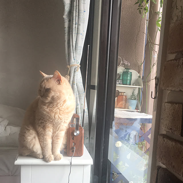 naokoさんの部屋