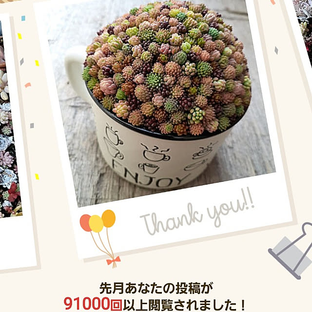 amtさんの実例写真