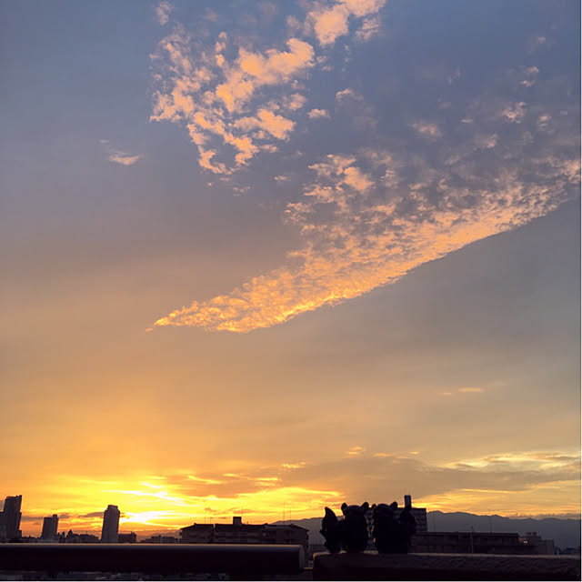 simple_blowbackさんの実例写真