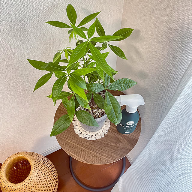 shidakaさんの部屋