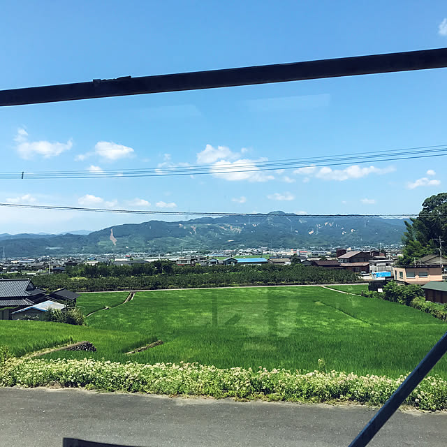 実例写真