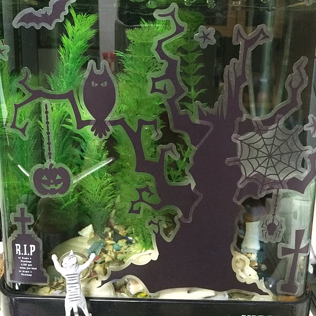 natulove0418さんの実例写真