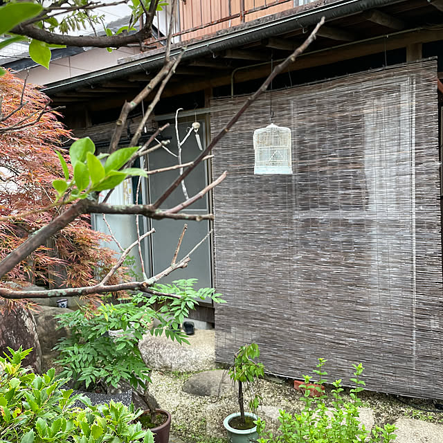 shin0719さんの部屋