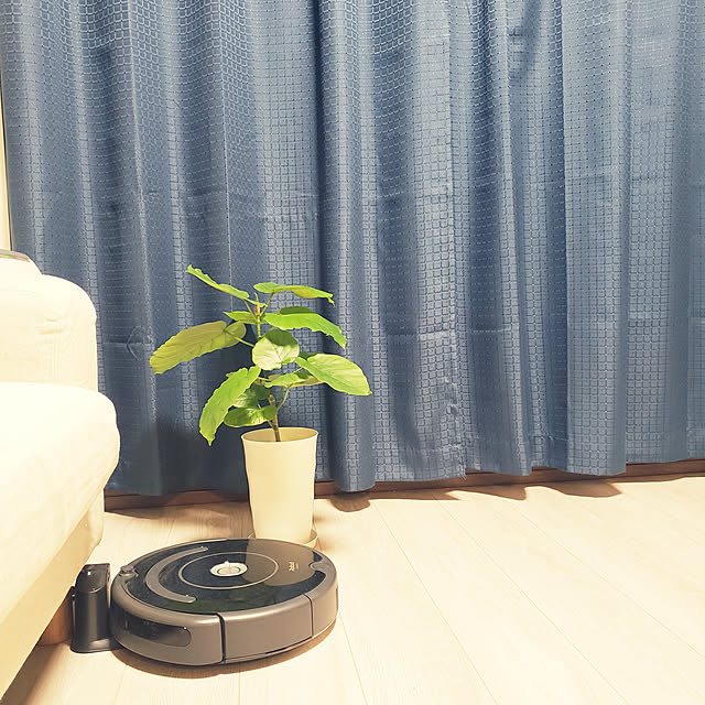 purikoさんの実例写真