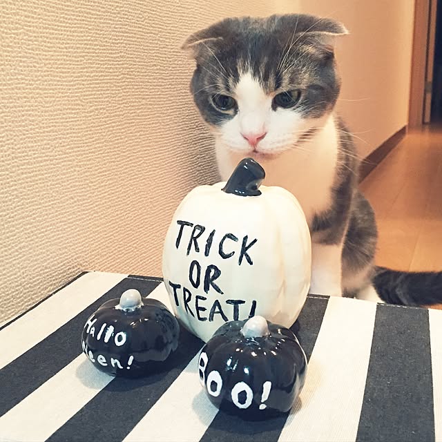 tansukeさんの実例写真