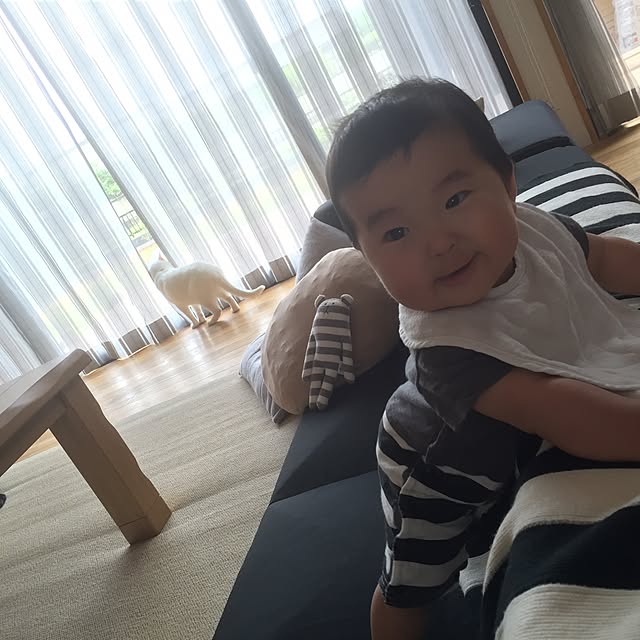 Chuppeetaさんの実例写真