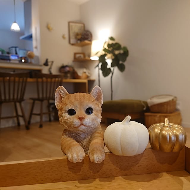 anri193さんの実例写真