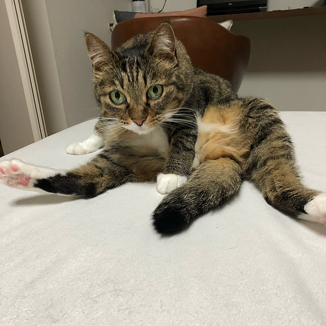 RURuさんの実例写真