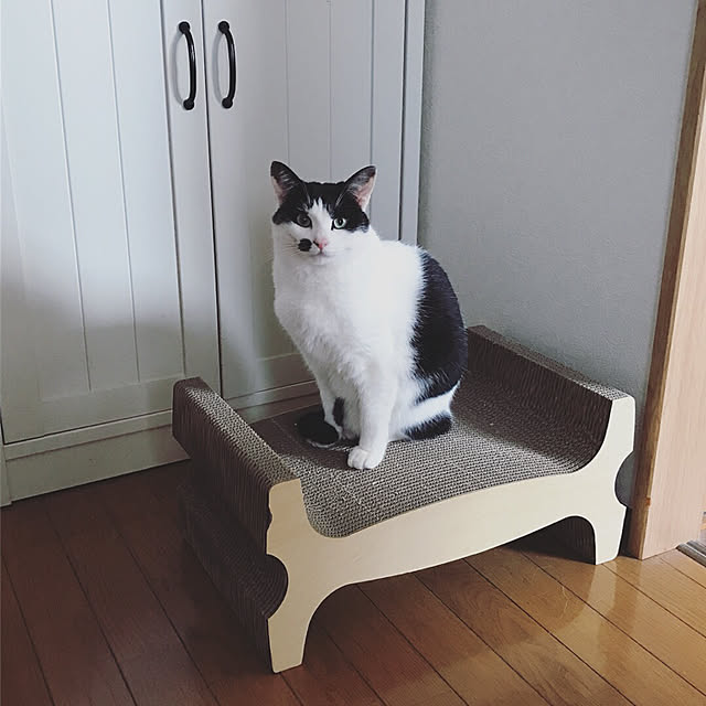 nicoさんの実例写真