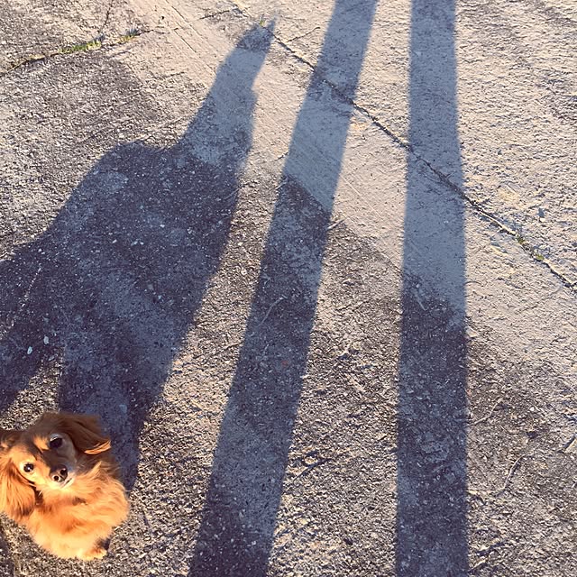 sakuさんの実例写真