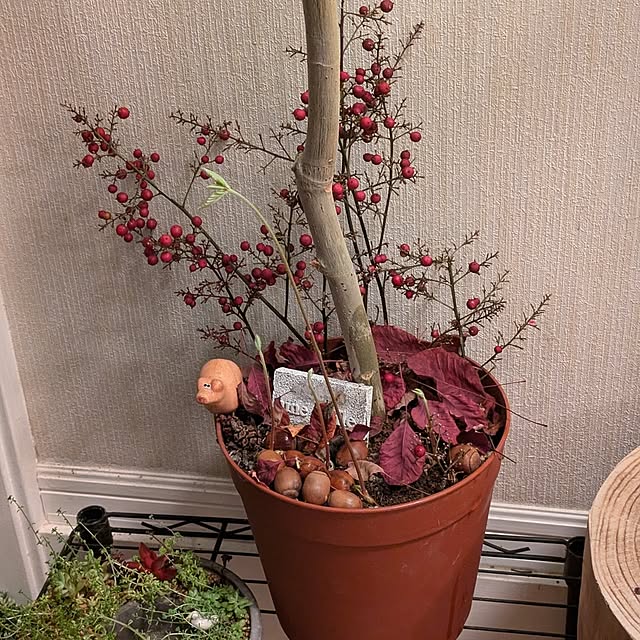 mori_6_12さんの実例写真