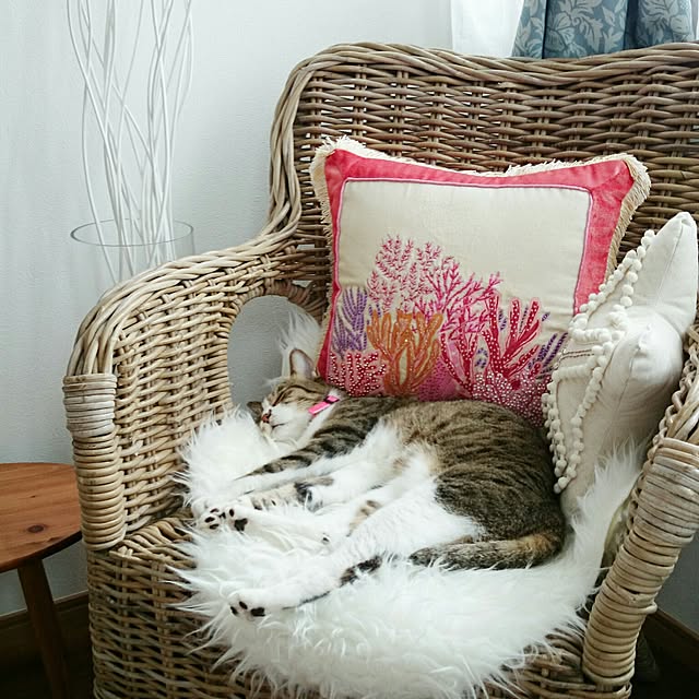 MoMosukeさんの実例写真