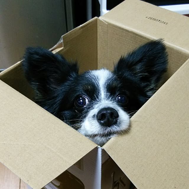 Smileberryさんの実例写真